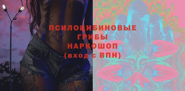 тгк Богородицк