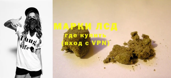 прущие грибы Бугульма