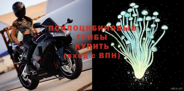герыч Верхний Тагил