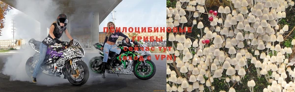 бошки Бронницы