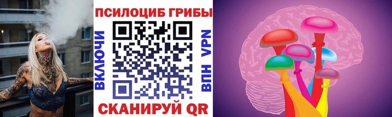 где купить наркотик  Ефремов  Псилоцибиновые грибы Cubensis 